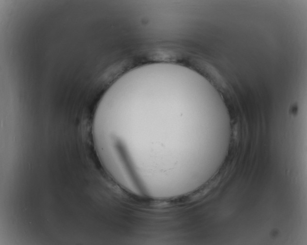 X0000102220322200807250752