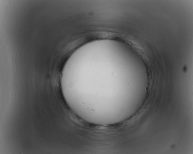X0000102220325200807250752