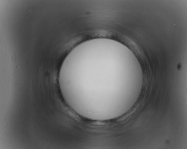 X0000102220326200807250752