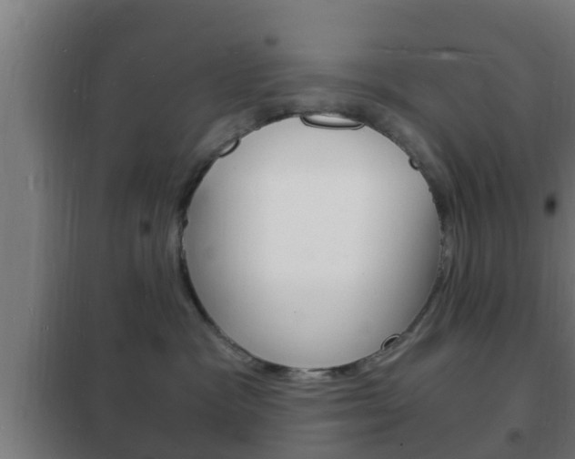 X0000102220333200807250752
