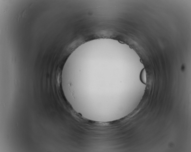 X0000102220334200807250751