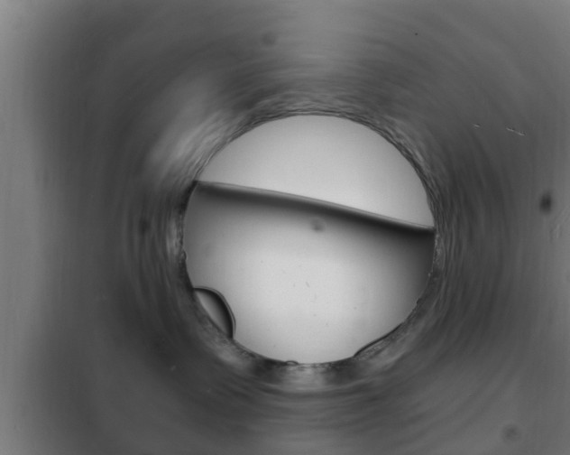 X0000102220335200807250751