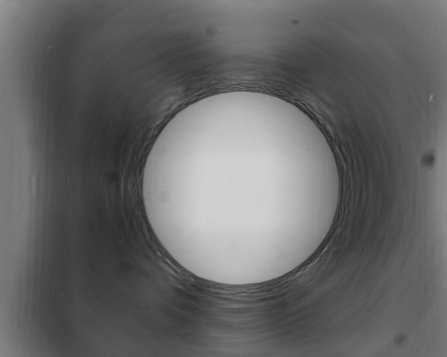 X0000102220336200807250751