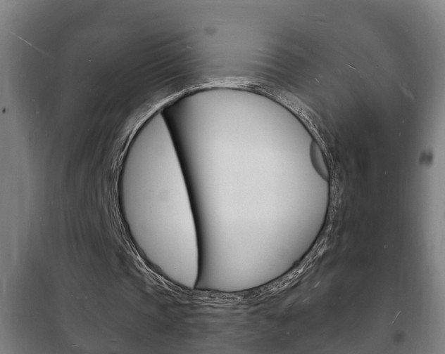 X0000102220337200807250751