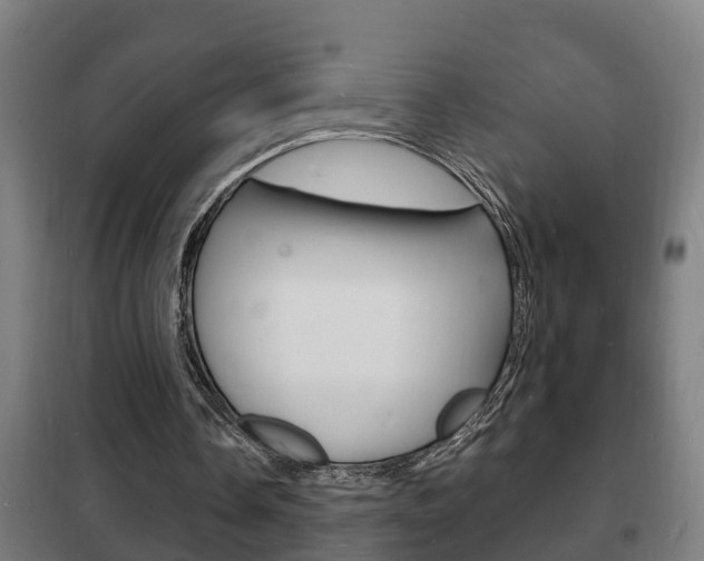 X0000102220338200807250751