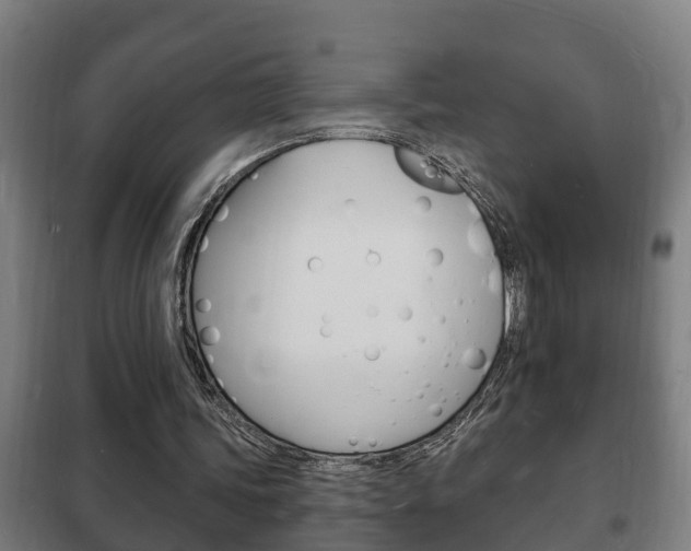 X0000102220339200807250751