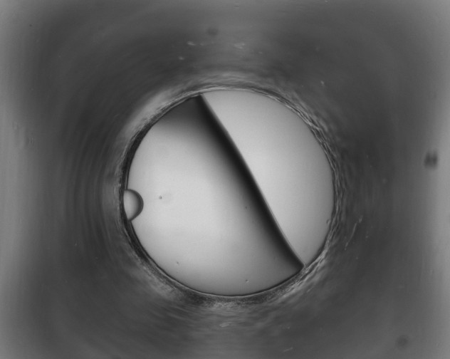 X0000102220341200807250751