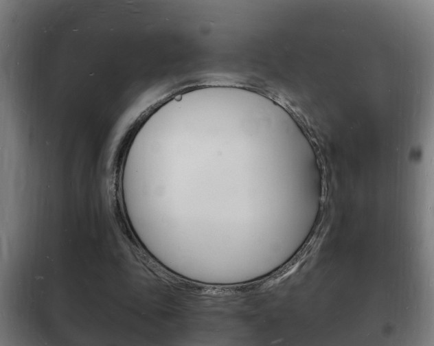 X0000102220343200807250751