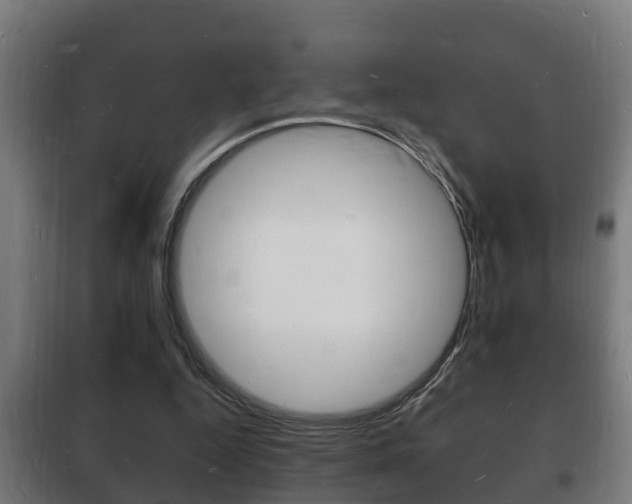 X0000102220344200807250751