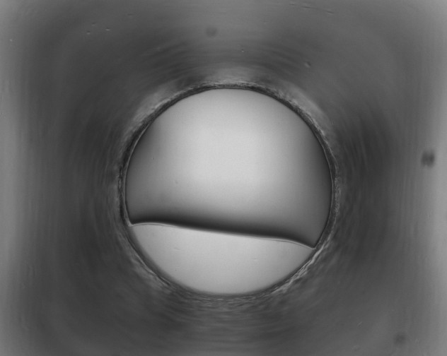 X0000102220345200807250751