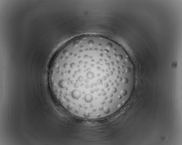 X0000102220346200807250751