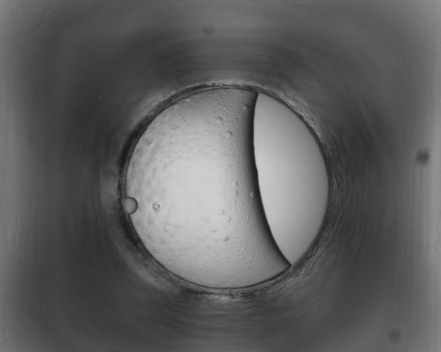 X0000102220347200807250751