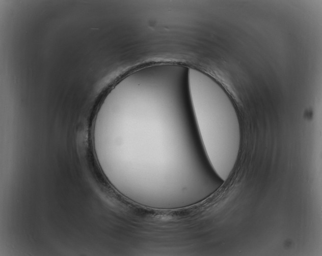 X0000102220348200807250751