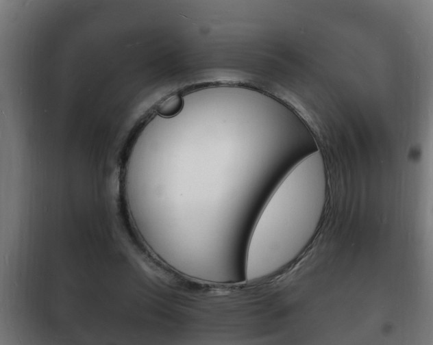 X0000102220350200807250751