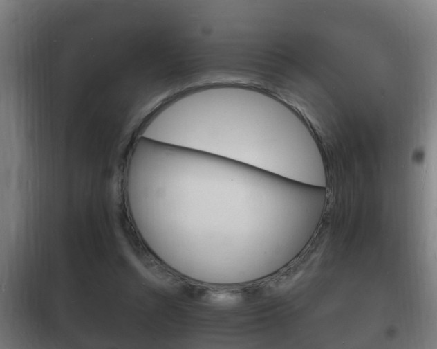 X0000102220352200807250751
