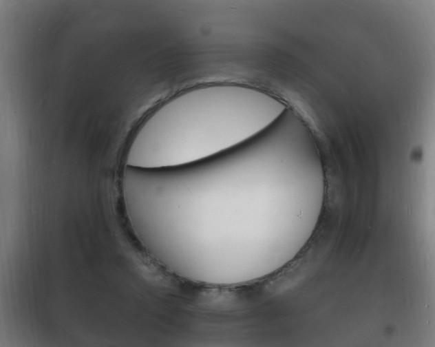 X0000102220354200807250751