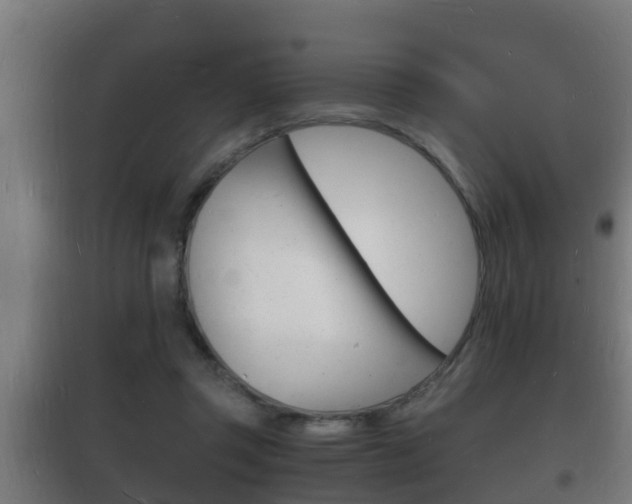 X0000102220357200807250751