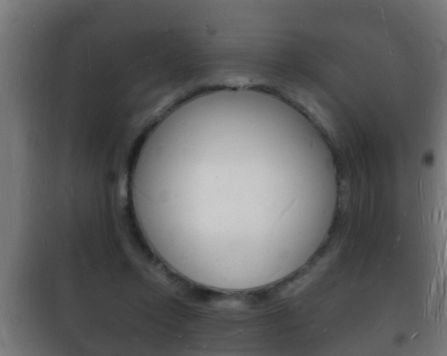 X0000102220358200807250751