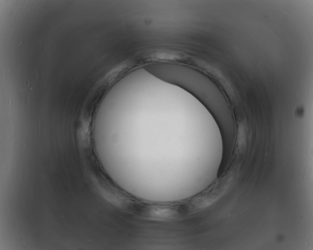X0000102220360200807250751