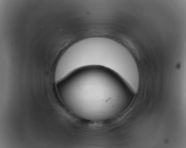X0000102220362200807250751