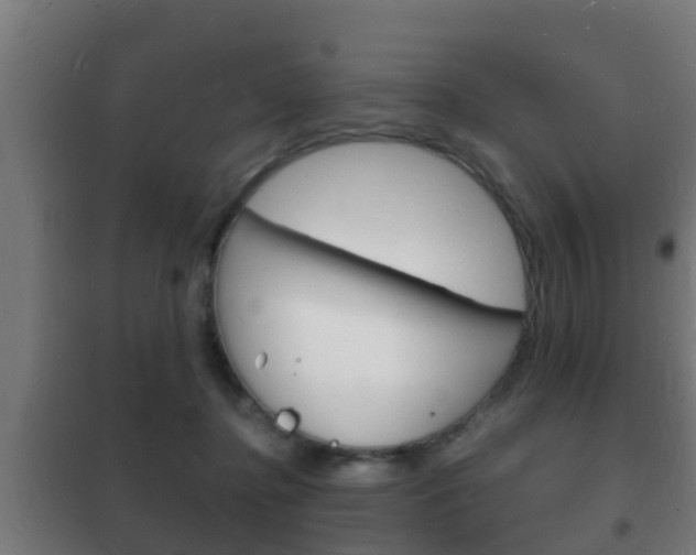 X0000102220364200807250751