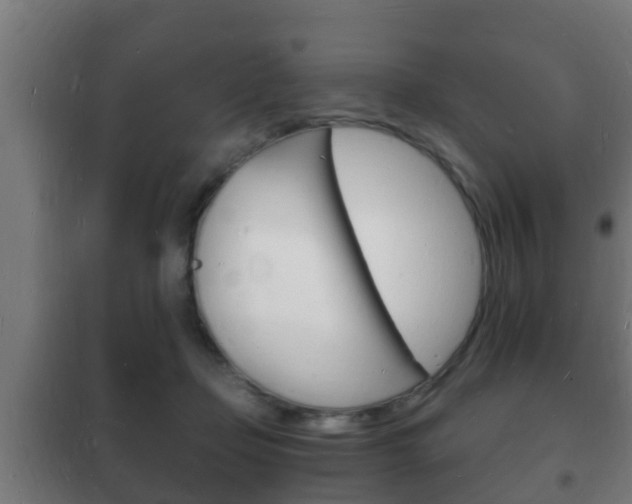 X0000102220365200807250751