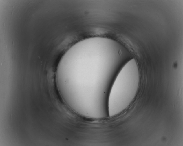 X0000102220366200807250751