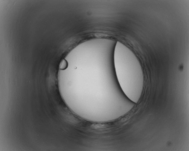 X0000102220367200807250751