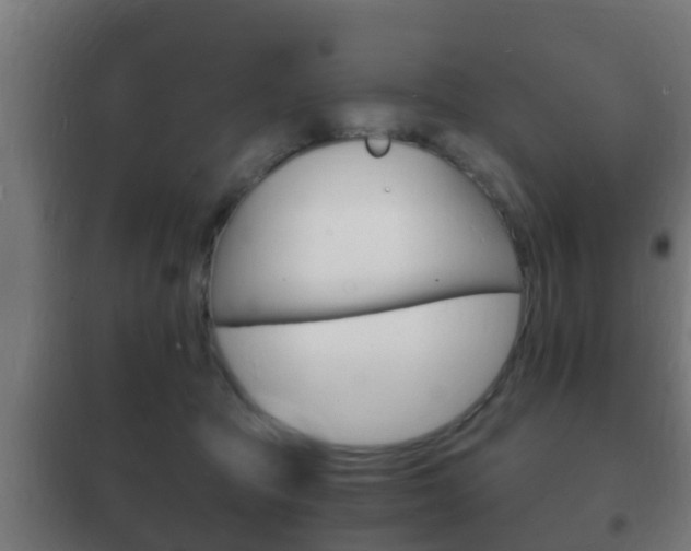 X0000102220369200807250751