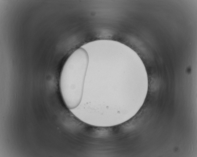 X0000102220370200807250751