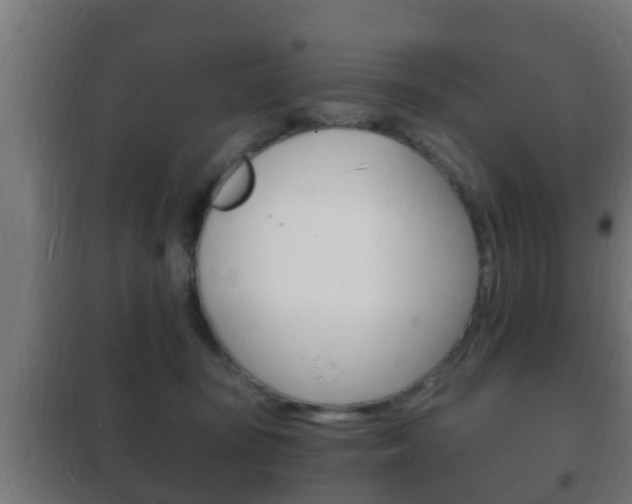X0000102220371200807250751