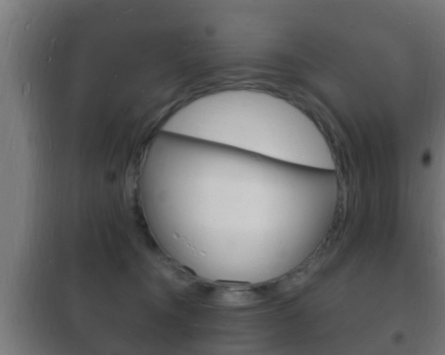 X0000102220372200807250751