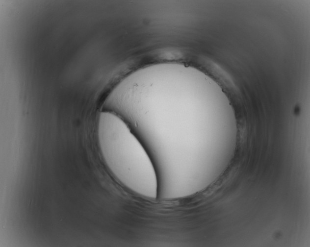 X0000102220373200807250751