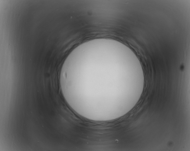 X0000102220376200807250751