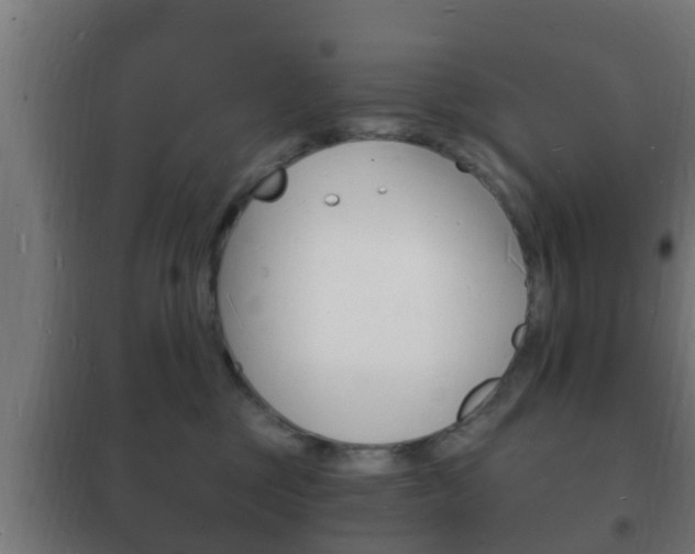 X0000102220377200807250751