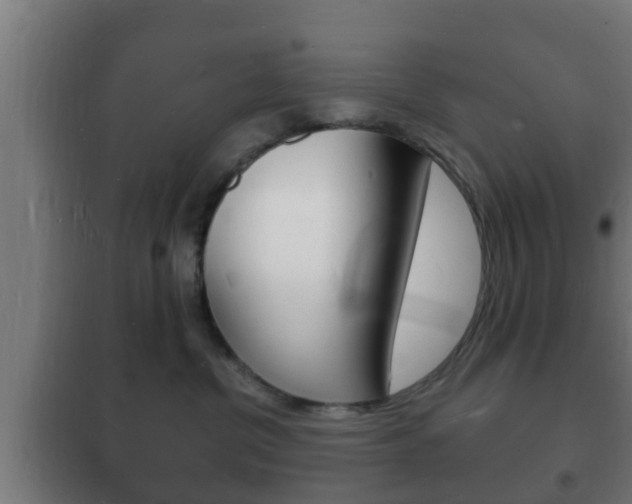 X0000102220380200807250751