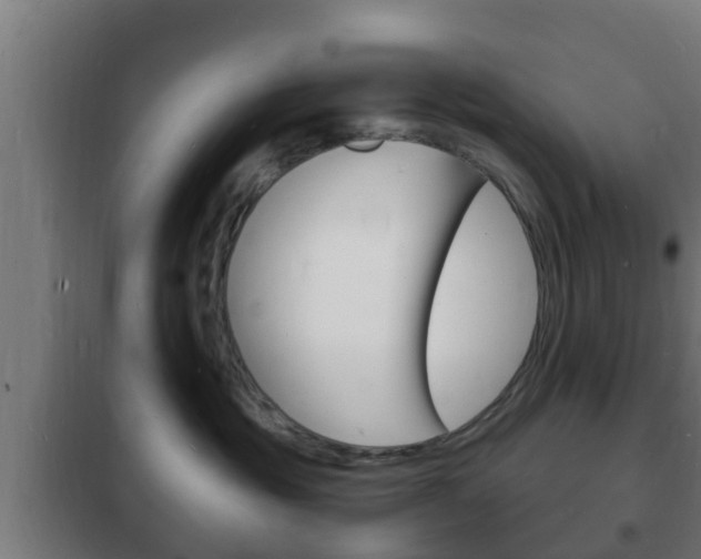 X0000102220381200807250751