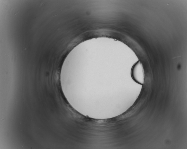 X0000102220382200807250751