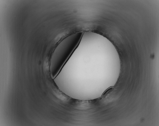 X0000102220384200807250751