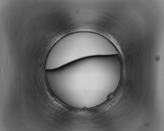 X0000102220385200807250751