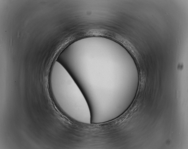X0000102220386200807250751