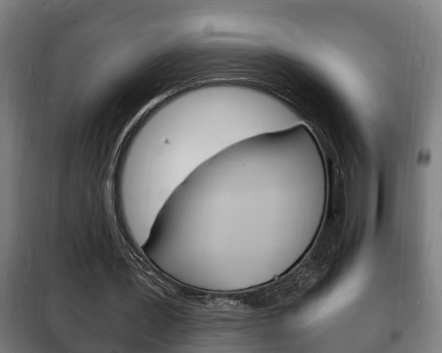X0000102220387200807250751