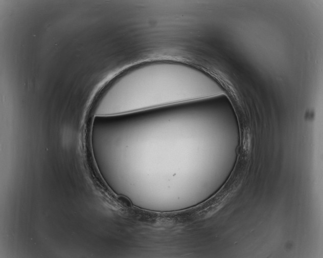X0000102220388200807250751