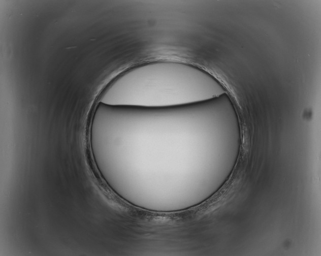 X0000102220390200807250751