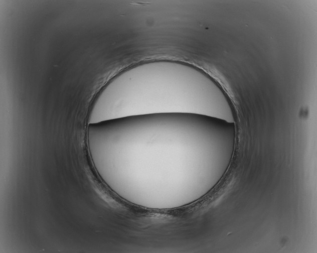 X0000102220393200807250751