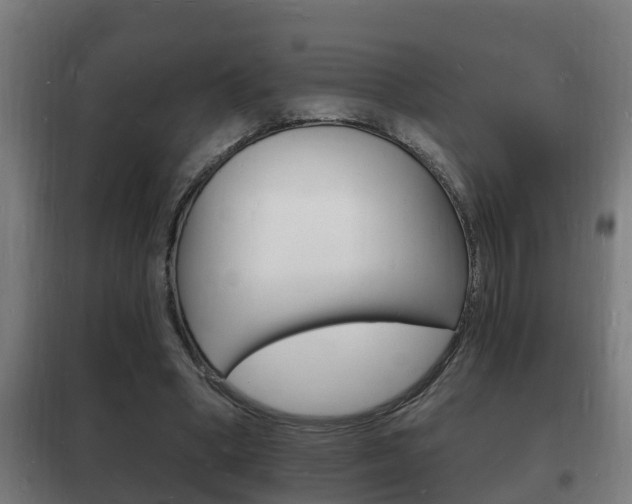 X0000102220394200807250750