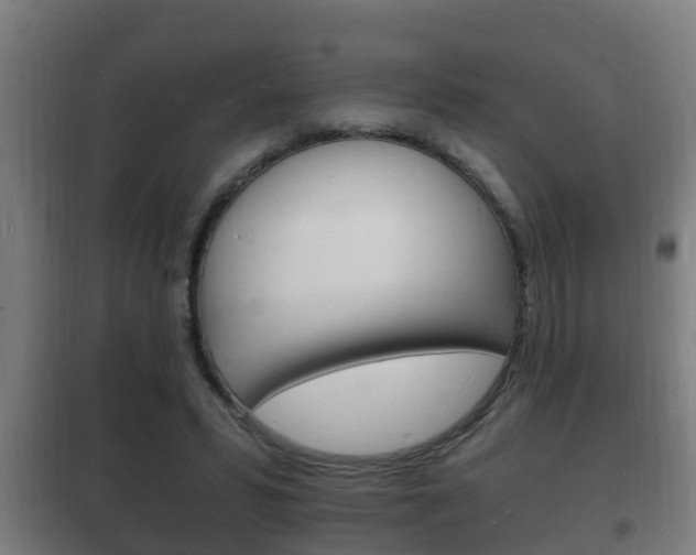 X0000102220399200807250750