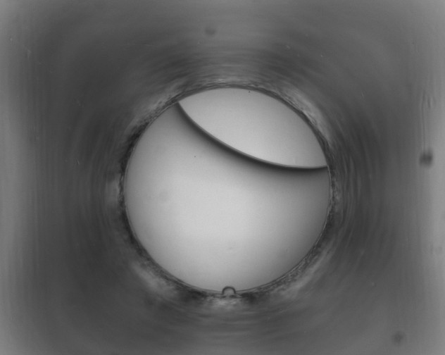 X0000102220401200807250750