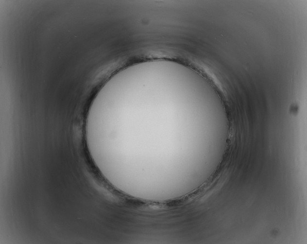 X0000102220402200807250750
