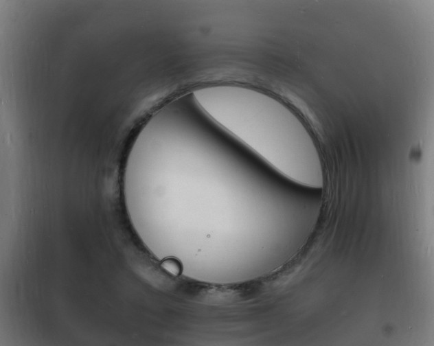 X0000102220403200807250750